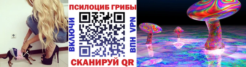 Галлюциногенные грибы MAGIC MUSHROOMS  нарко площадка Telegram  Данков 