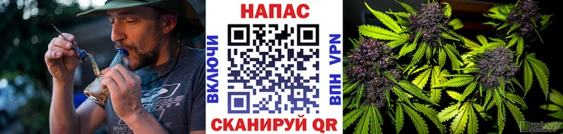 Марихуана SATIVA & INDICA  наркошоп  Данков 